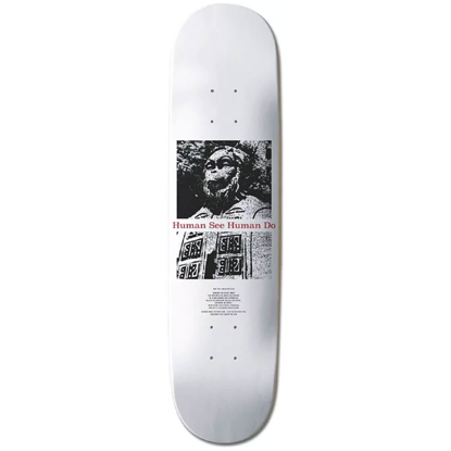 ELEMENT POTA EMINENCE 8.125" DECK ASSORTED 8.125"