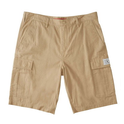 DC WAREHOUSE CARGO SHORT 2 INCENSE 28
