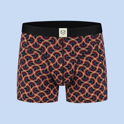 ADAM WALLY PAPER BOXER BRIEFS ASSORTED XL