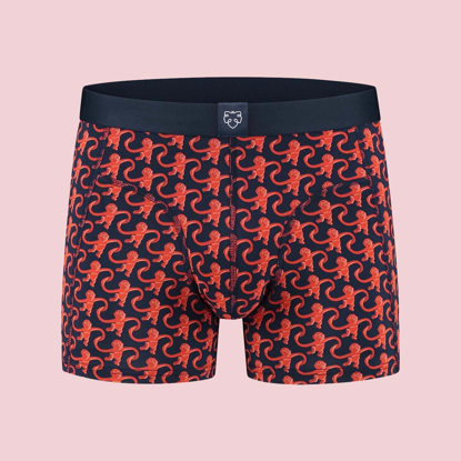 ADAM MONKEY FRIEND BOXER BRIEFS ASSORTED S