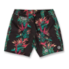 VOLCOM VOLCOM ENTERTAINMENT PEPPER STONEY 17 BLACK XS