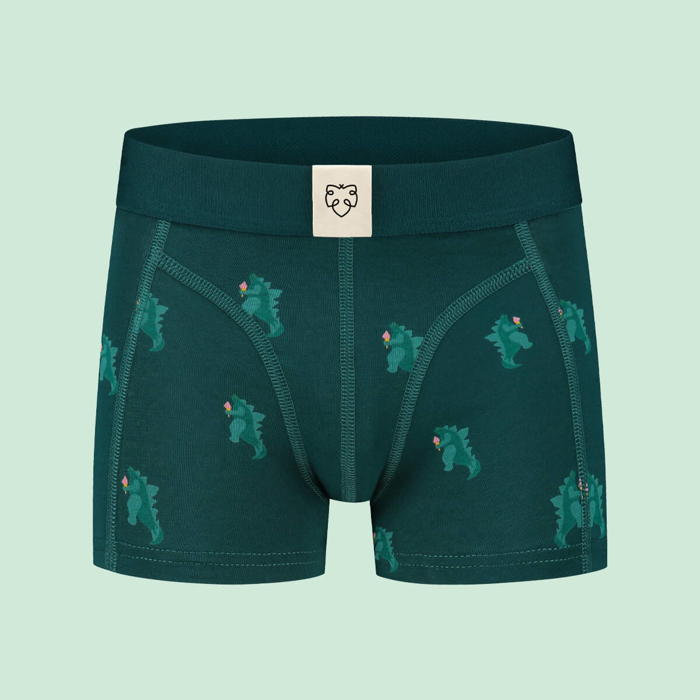 ADAM ICEZILLA BOXER BRIEFS ASSORTED 6. 05. 2023