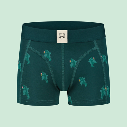 ADAM ICEZILLA BOXER BRIEFS ASSORTED 13/14