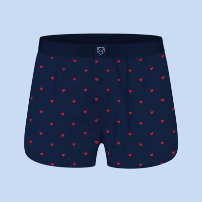 ADAM NAVY LOVE BOXER BRIEFS ASSORTED L