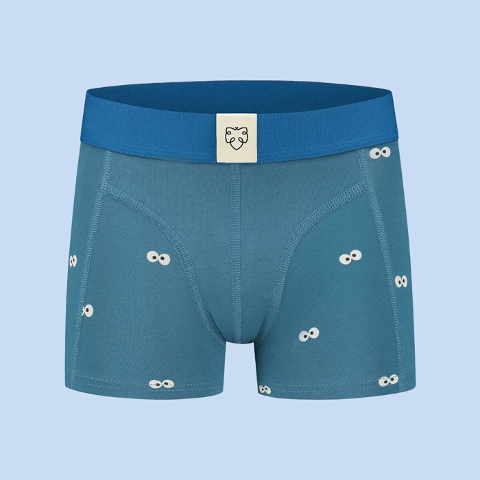 ADAM GOOGLY COOKIE BOXER BRIEFS ASSORTED 9/10