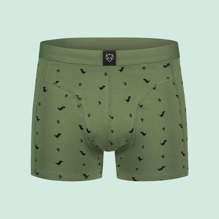 ADAM 8BIT DINO BOXER BRIEFS ASSORTED XL