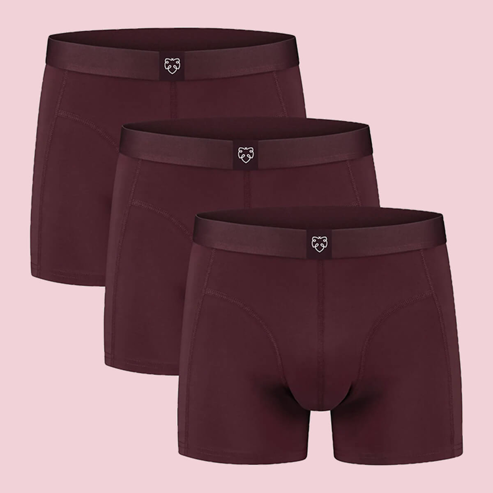 ADAM BOXER BRIEF 3 PACK BRUNO MULTI M