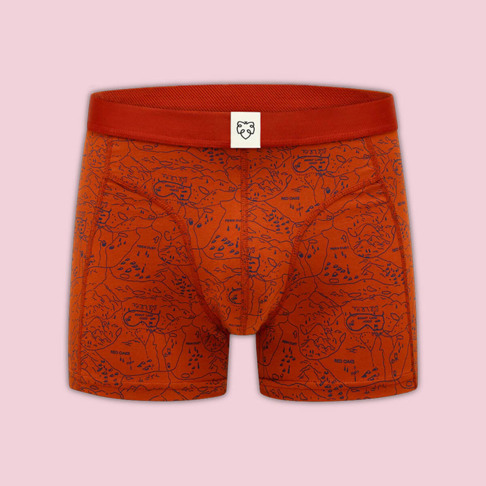 ADAM BOXER BRIEF GINGER SCOUTMAP ROOIBOS TEA S